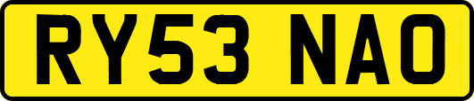 RY53NAO