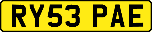 RY53PAE