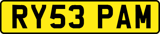 RY53PAM