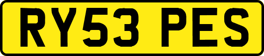 RY53PES