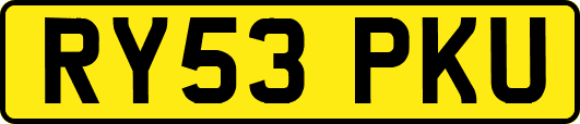 RY53PKU