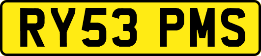 RY53PMS