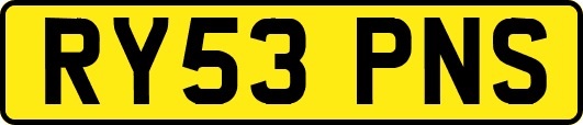 RY53PNS