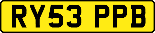 RY53PPB