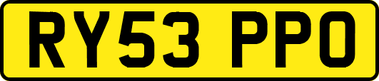 RY53PPO