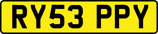 RY53PPY