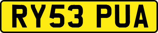 RY53PUA