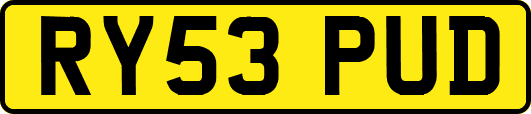 RY53PUD