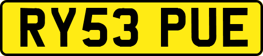 RY53PUE