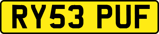 RY53PUF