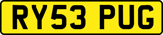 RY53PUG