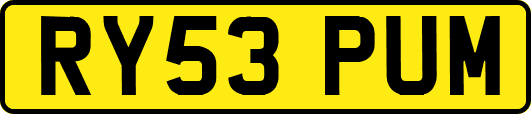 RY53PUM