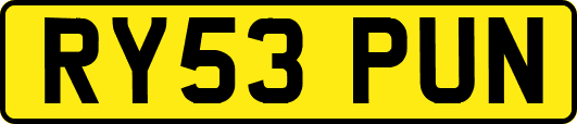 RY53PUN