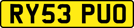 RY53PUO