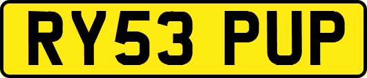 RY53PUP