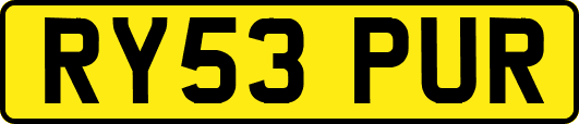 RY53PUR