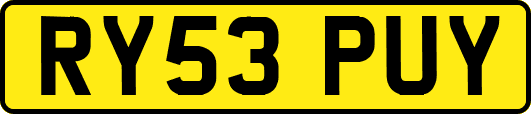 RY53PUY