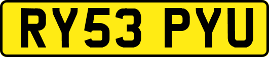 RY53PYU