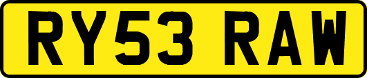 RY53RAW