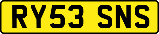 RY53SNS