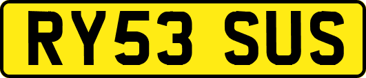 RY53SUS