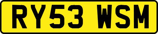 RY53WSM