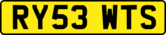 RY53WTS