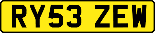 RY53ZEW