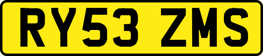 RY53ZMS