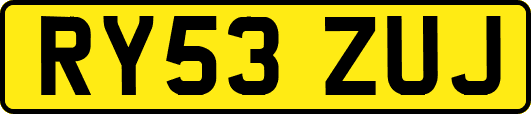 RY53ZUJ