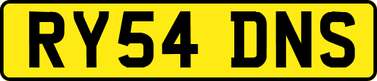 RY54DNS