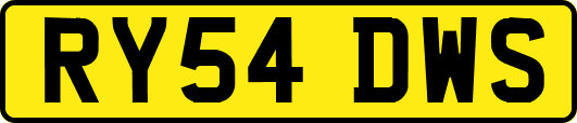 RY54DWS