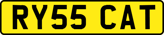 RY55CAT