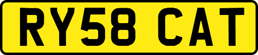 RY58CAT