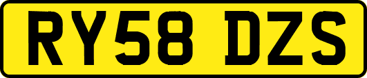 RY58DZS