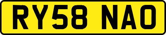 RY58NAO
