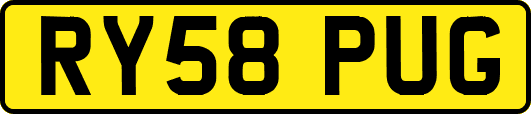 RY58PUG