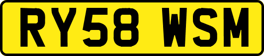 RY58WSM