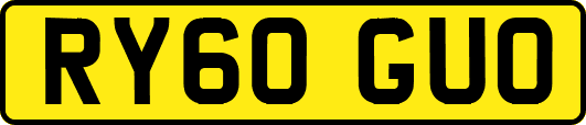 RY60GUO