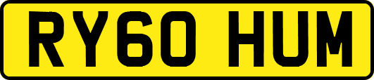 RY60HUM