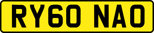 RY60NAO
