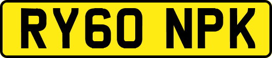 RY60NPK