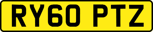 RY60PTZ