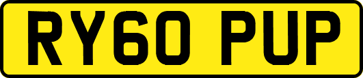 RY60PUP
