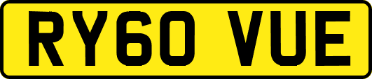 RY60VUE
