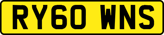 RY60WNS