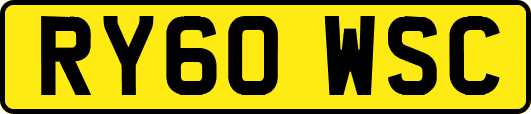 RY60WSC