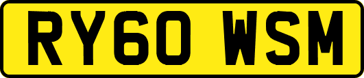 RY60WSM