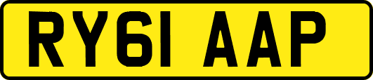 RY61AAP