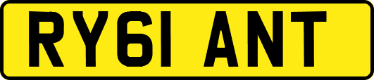 RY61ANT